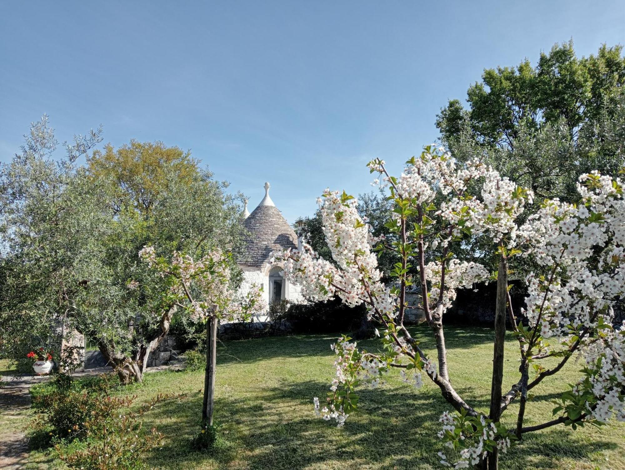 Trulli Manuela Vila Locorotondo Exterior foto